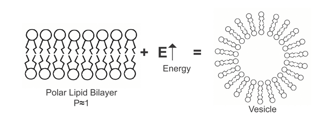 QuSome® Figure1