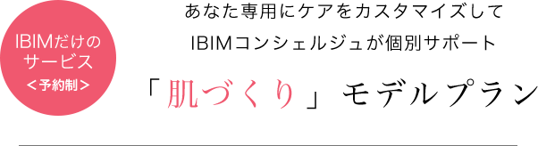 「肌づくり」モデルプラン