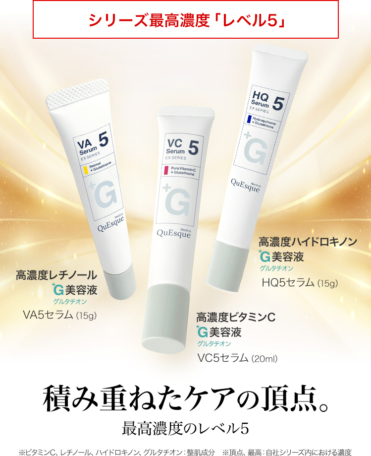 短期集中ケア専用「レベル5」