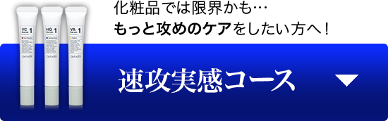 速攻実感コース