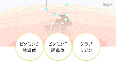 ブライトニング成分を届けてとどめる浸透技術QuSome®︎採用