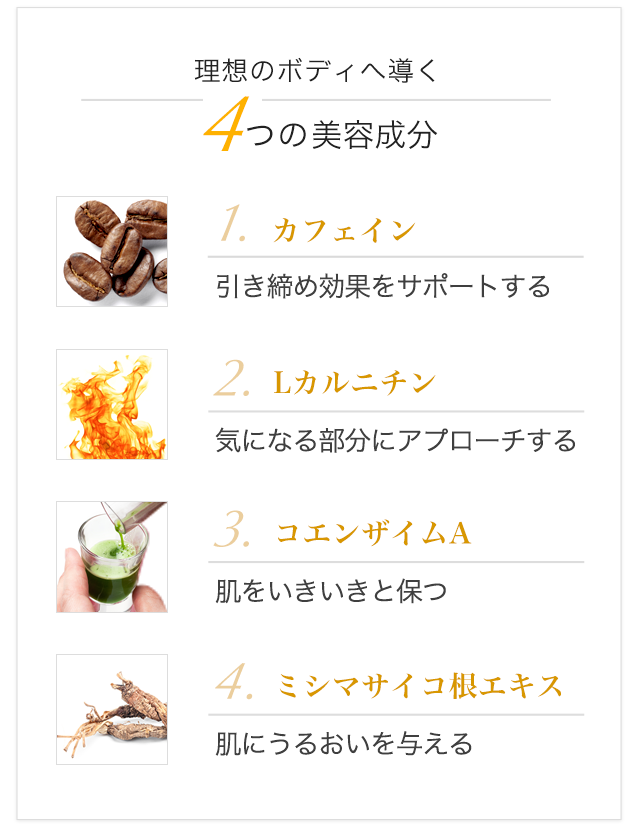 4つの美容成分 (カフェイン, Lカルニチン, コエンザイムA, ミシマサイコ根エキス)