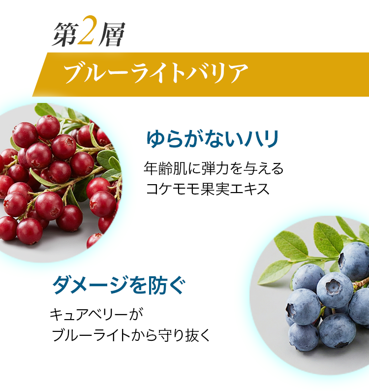 第2層ブルーライトバリア