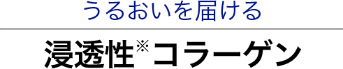 うるおいを届ける浸透性※コラーゲン