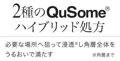 2種のQuSomeハイブリッド処方