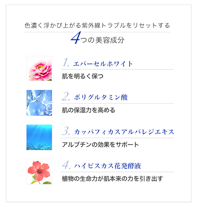 4つの美容成分