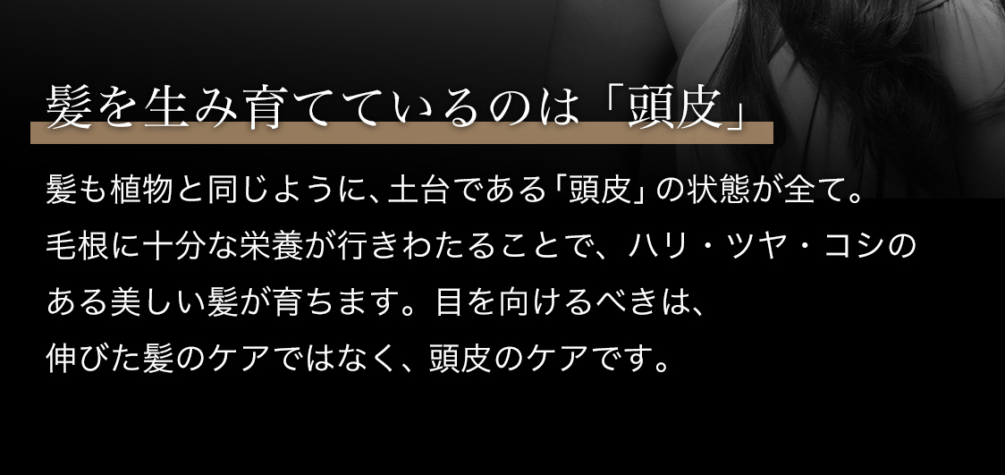 髪を生み育てているのは「頭皮」