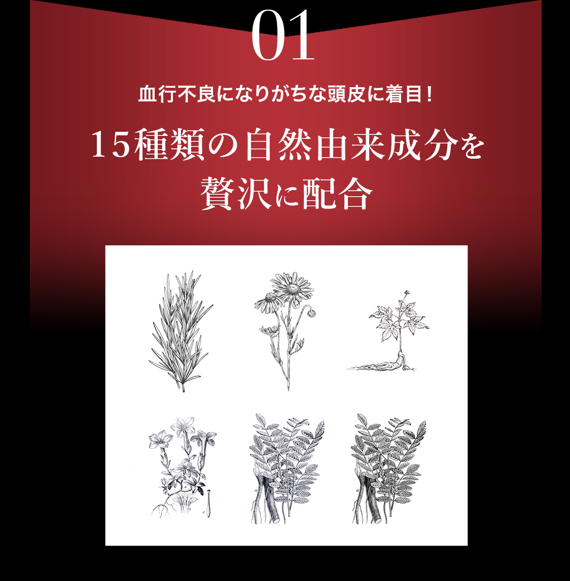 血行不良になりがちな頭皮に着目！