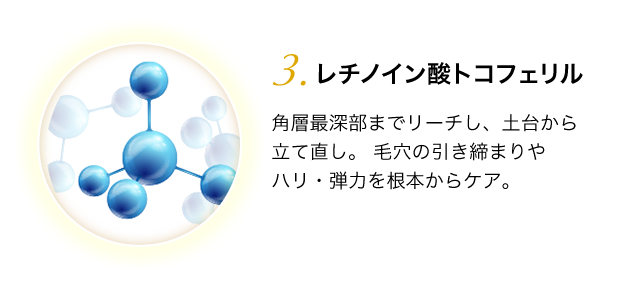 パルミチン酸レチノール 肌への刺激が少なく、安定性に優れた成分。すこやかな肌環境へと立て直し、オイリー肌や肌荒れなど、複合的にアプローチします
