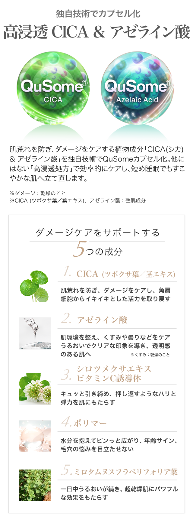 独自技術でカプセル化 高浸透CICA & アゼライン酸