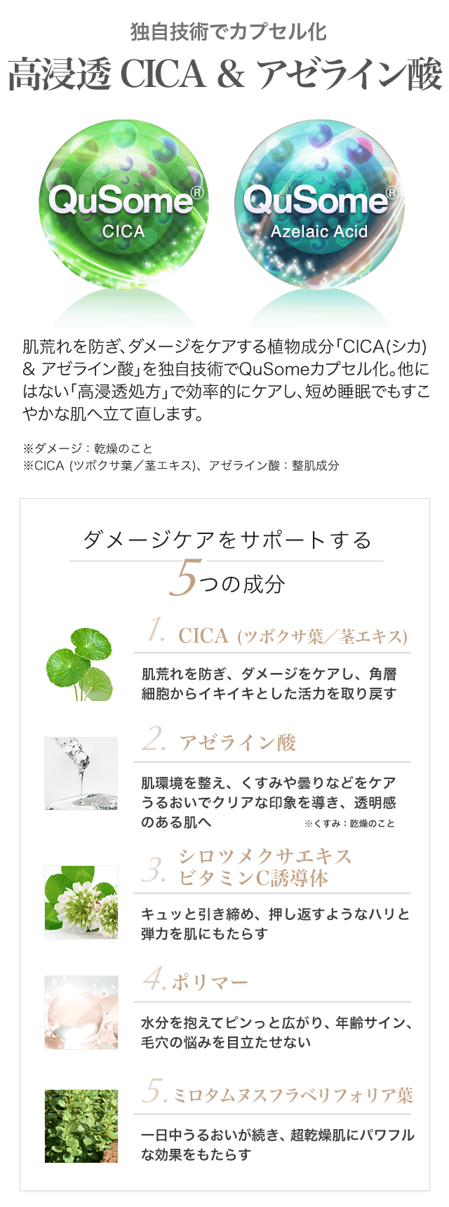 独自技術でカプセル化 高浸透CICA & アゼライン酸