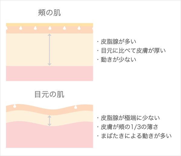 頰の肌と目元の肌