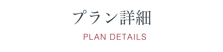 プラン詳細