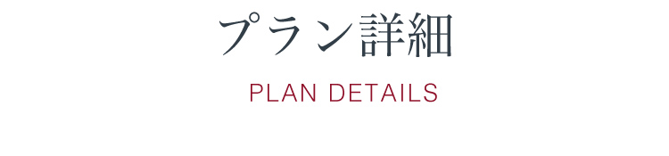 プラン詳細