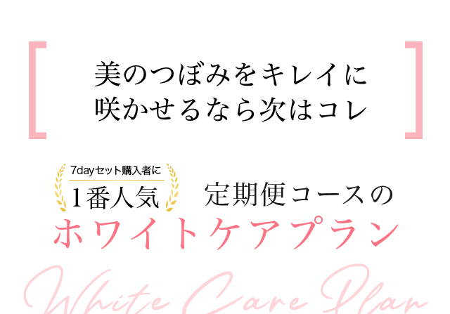 定期便コースのホワイトケアプラン