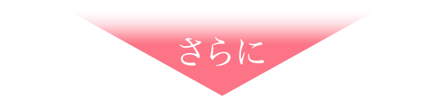 さらに