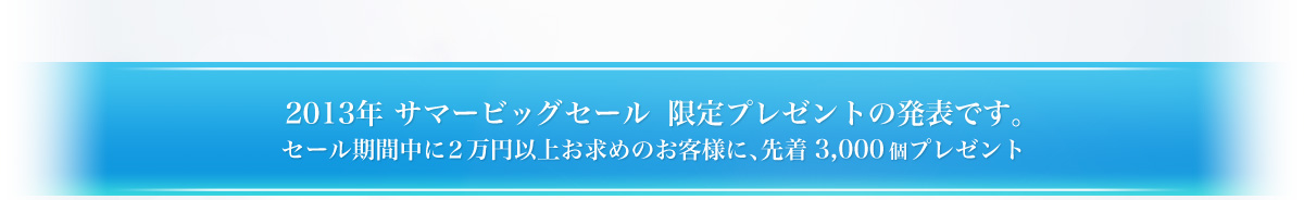 2013年 サマービックセール　限定プレゼントの発表です。セール期間中に2万円以上お求めのお客様に先着3,000個プレゼント