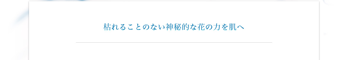 枯れることのない神秘的な花の力を肌へ