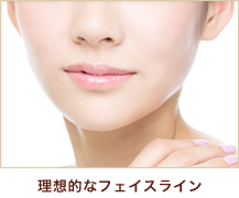 理想的なフェイスライン