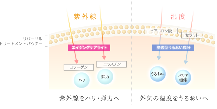 ２つの逆転効果図