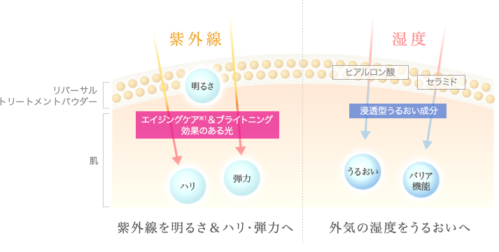 ２つの逆転効果図