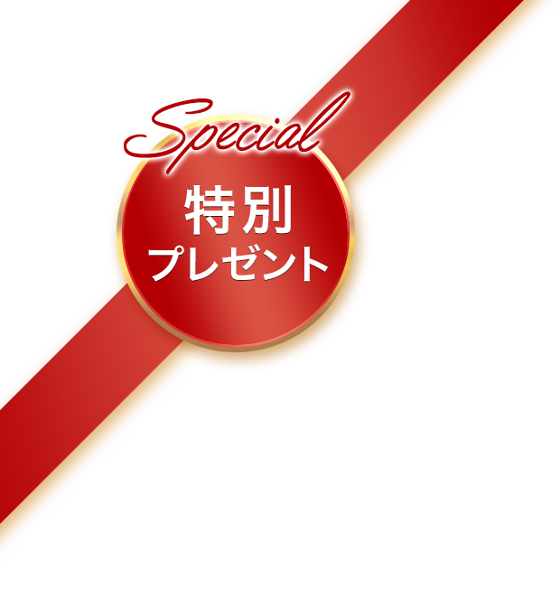 2018 Xmas Big Sale 特別プレゼント