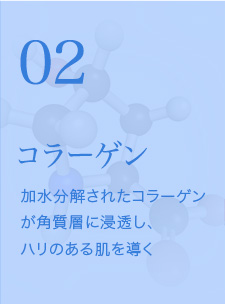 コラーゲン 加水分解されたコラーゲンが角質層に浸透し、ハリのある肌を導く