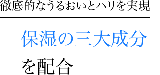 徹底的なうるおいとハリを実現保湿の三大成分を配合