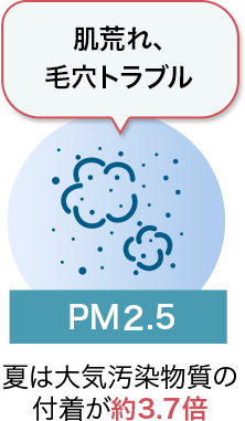 肌荒れ、毛穴トラブル