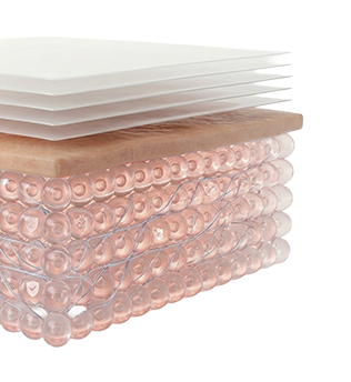 皮膚科学が導く5層バリア