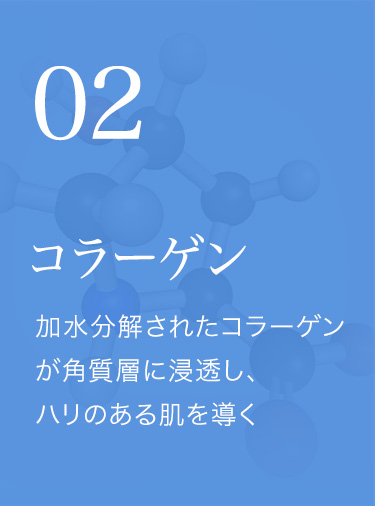 コラーゲン 加水分解されたコラーゲンが角質層に浸透し、ハリのある肌を導く