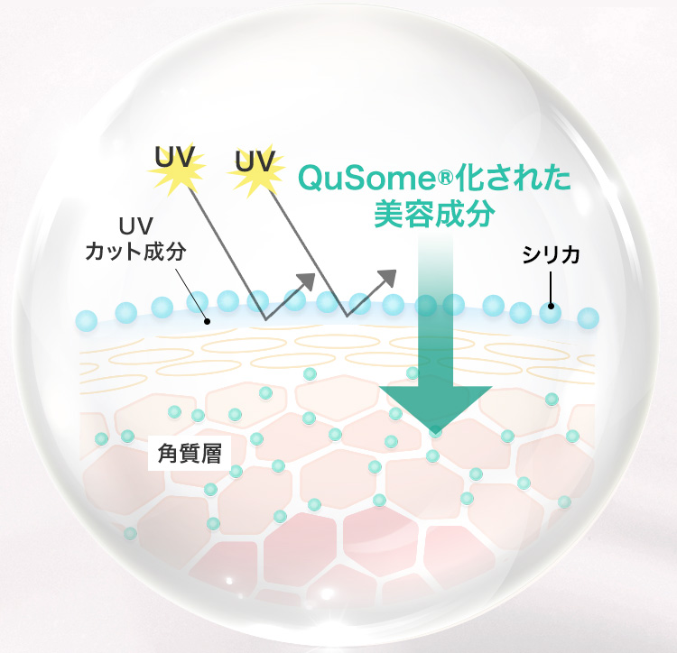 肌を守りながらうるおす秘密