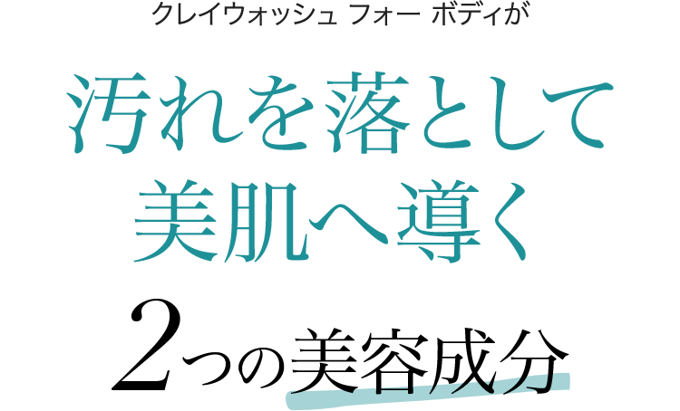 クレイウォッシュ フォー ボディ | スキンケア化粧品