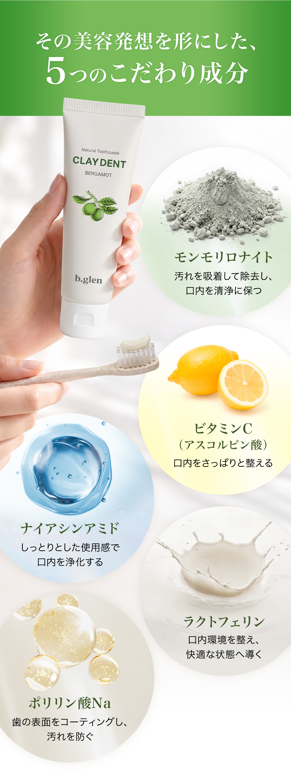 その美容発想を形にした、5つのこだわり成分 モンモリロナイト／ビタミンC（アスコルビン酸）／ナイアシンアミド／ラクトフェリン／ポリリン酸Na