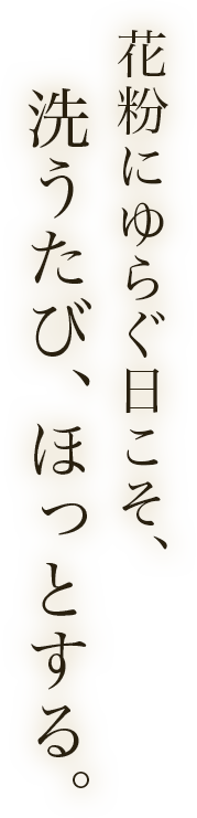 花粉にゆらぐ日こそ、洗うたび、ほっとする。