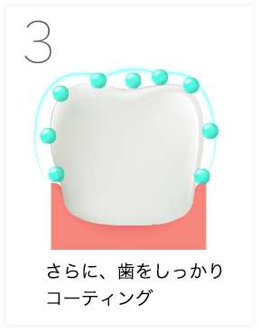 3.さらに、歯をしっかりコーティング
