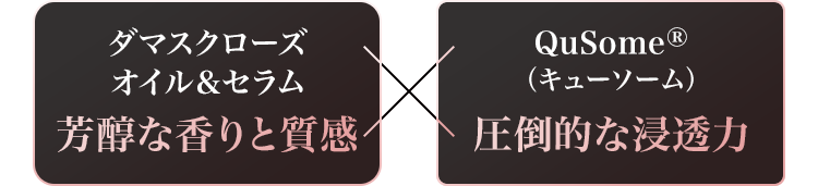 ダマスクローズオイル＆セラム芳醇な香りと質感XQuSome®︎圧倒的な浸透力
