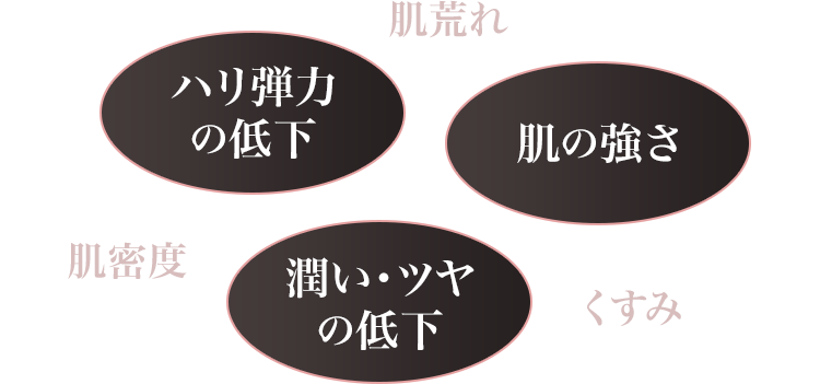 ハリ弾力の低下/肌の強さ/潤い・ツヤの低下