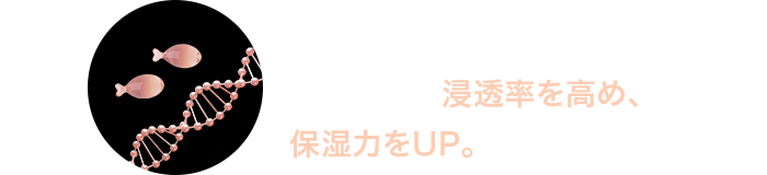 サーモンPDRN