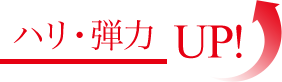 肌の弾力17%UP!