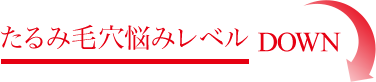 たるみ毛穴の数19%DOWN!