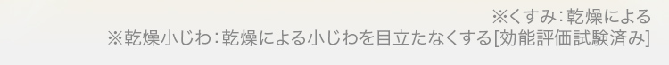 ※くすみ：乾燥による※乾燥小じわ：乾燥による小じわを目立たなくする[効能評価試験済み]