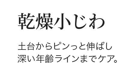 乾燥小じわ