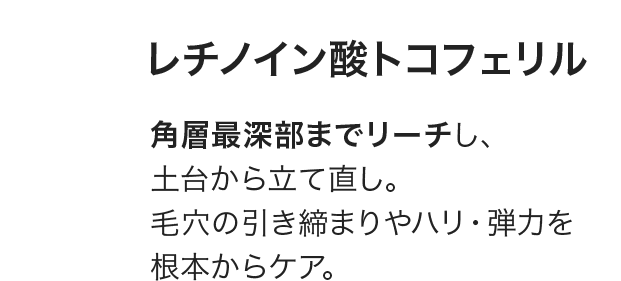 角層最深部までリーチし、土台から立て直し。毛穴の引き締まりやハリ・弾力を根本からケア。