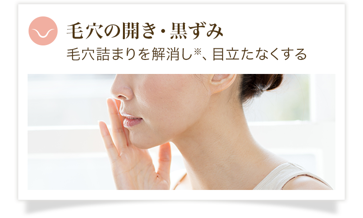 毛穴の開き・黒ずみ　毛穴詰まりを解消し※、目立たなくする