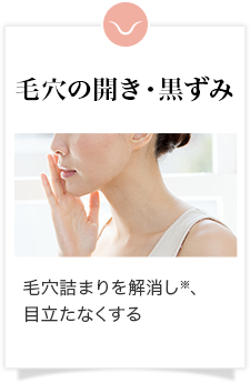 毛穴の開き・黒ずみ 毛穴詰まりを解消し※、目立たなくする