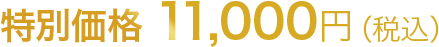 特別価格 11,000円（税込）